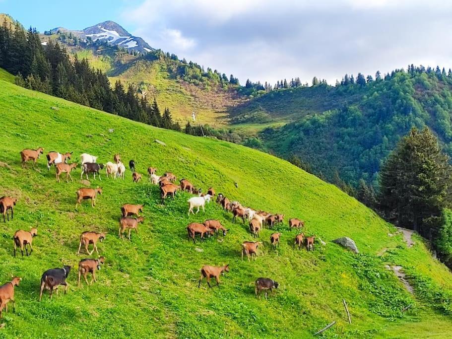 Villa Le Banc Des Seilles Bonvillard Esterno foto